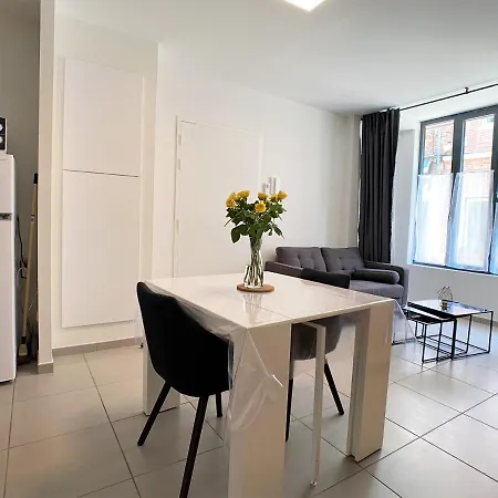 Albiappart Vigan Centre Apartment Albi